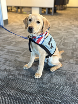 LibertyDogsJanFeb2026333