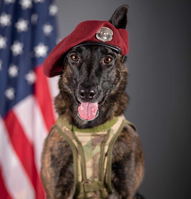 A Real Rescue Dog | National Guard Association of the United States