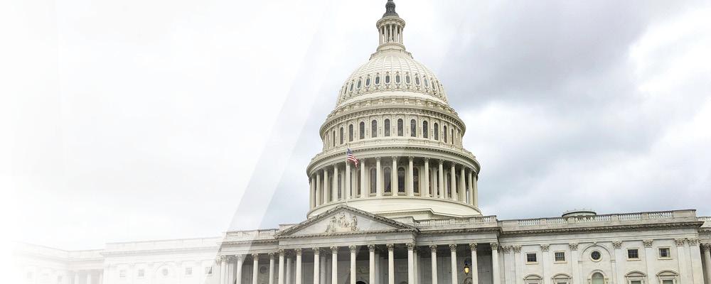 121118capitalsummit1000 National Capital Summit Banner