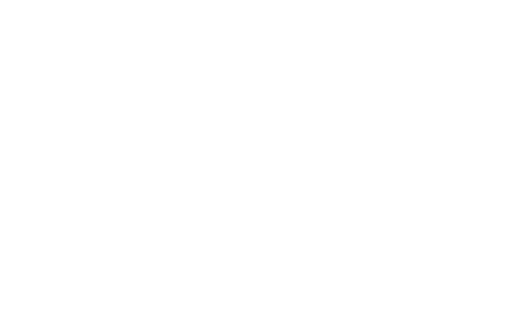 National Capital Summit Logo_White