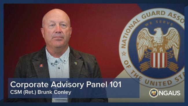 Corporate Advisory Panel 101 Video