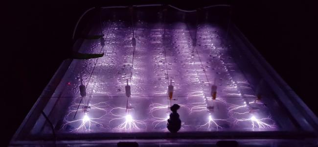 Plasma reactor