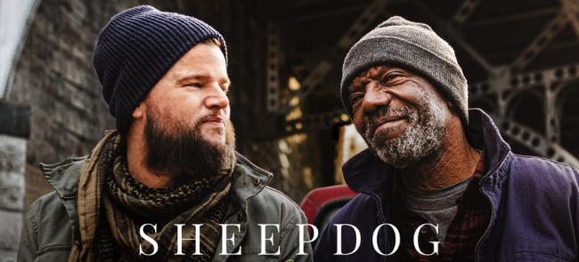 Sheepdog